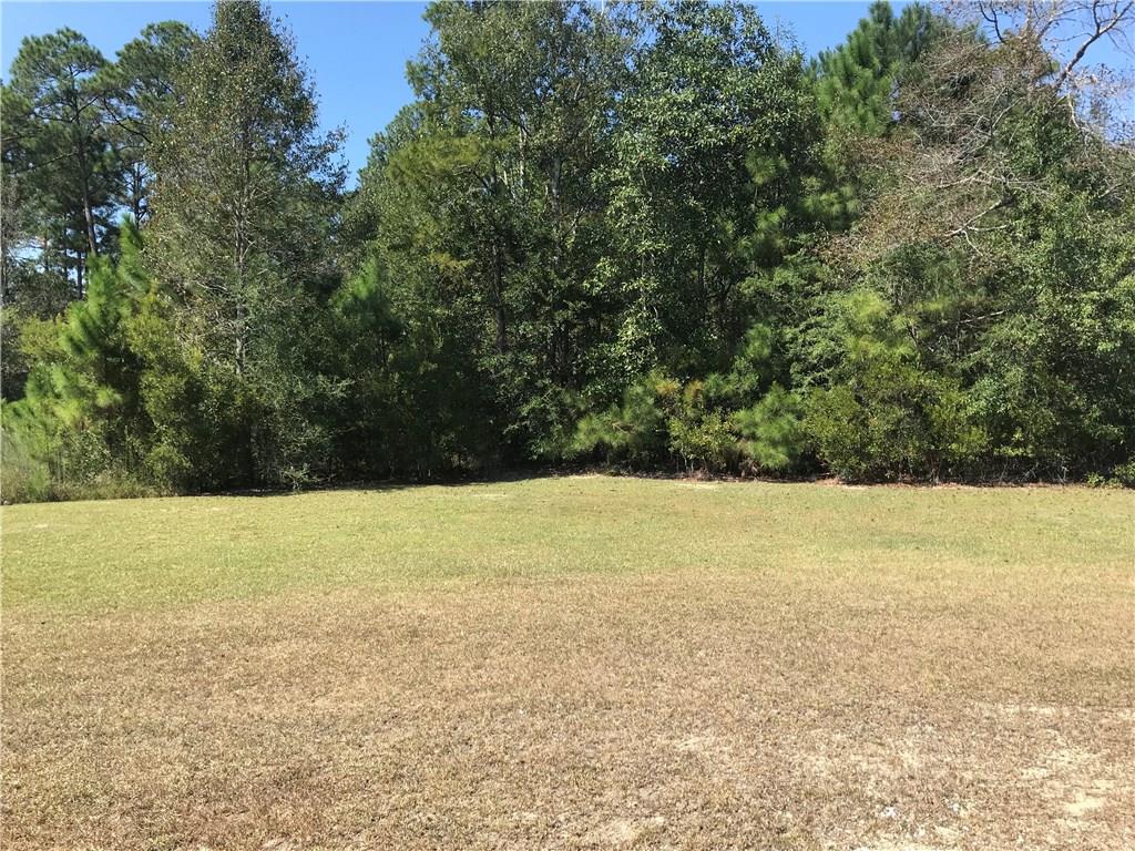 0 Murray Rd Loop Pearl River, LA 70452 - Photo 4 of 5 Gallery Image 4