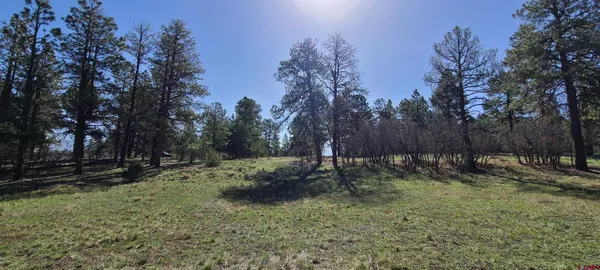 a fire hydrant in the middle of a field