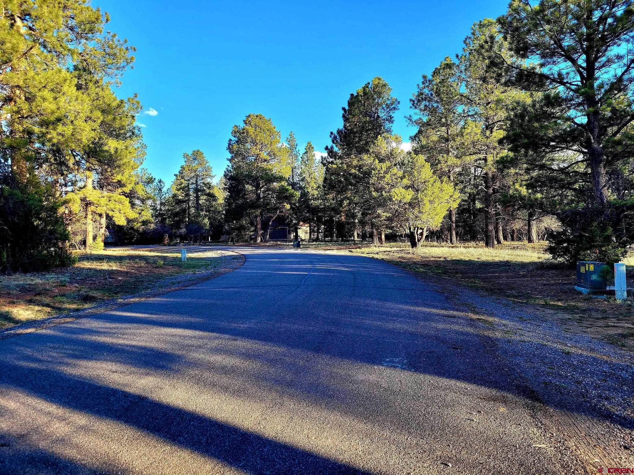 225 South Badger Trail Ridgway, CO 81432 - Photo 4 of 8 a view of backyard with green space