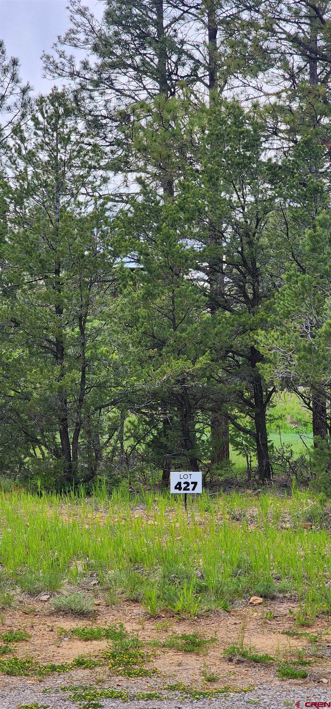 225 South Badger Trail Ridgway, CO 81432 - Photo 8 of 8 a view of a yard