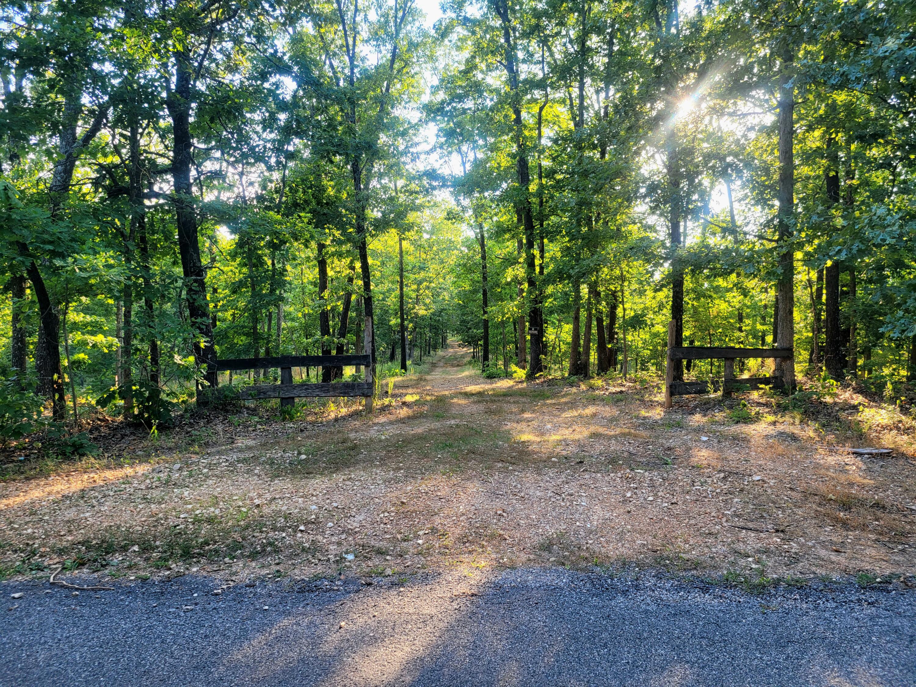 0 Hummingbird Road Ozark, MO 65721 - Photo 1 of 1 Front enterance