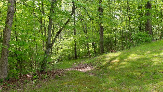 255 Biggs Road Cottontown, TN 37048 - Photo 16 of 18 You can make out the old road that leads from the back yard toward the creek. In days long past, visitors of the Biggs Family come by horse and buggy and used the road to the creek to water the horse so they would be ready to take them back home.