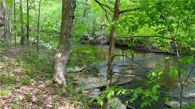 255 Biggs Road Cottontown, TN 37048 - Photo 17 of 18 The creek is one of the best features of this home. It runs around the side and back portion of the property and runs year round. You can actually hear the creek from the home and hear the loons that frequently visit for fresh fish.