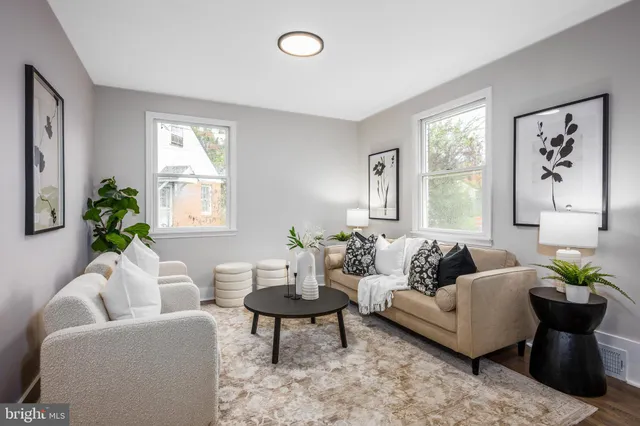 a living room with furniture and a potted plant