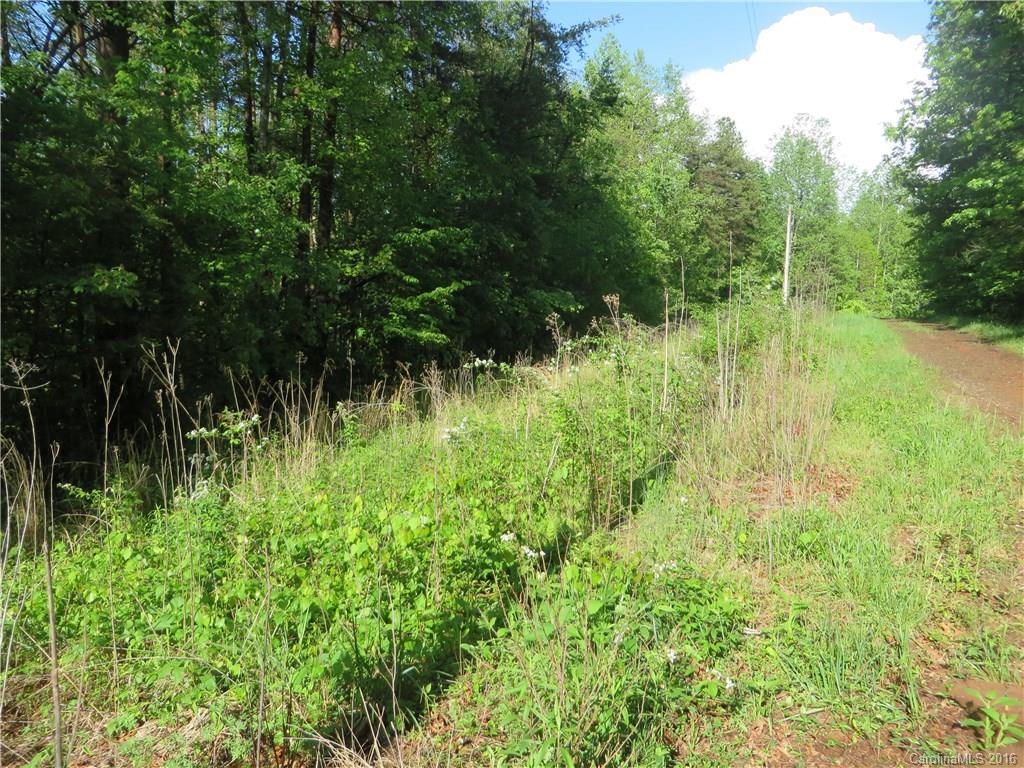 10.32-ac Hopewell Church Road Hiddenite, NC 28636 - Photo 2 of 3