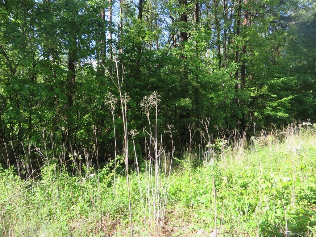 10.32-ac Hopewell Church Road Hiddenite, NC 28636 - Photo 3 of 3