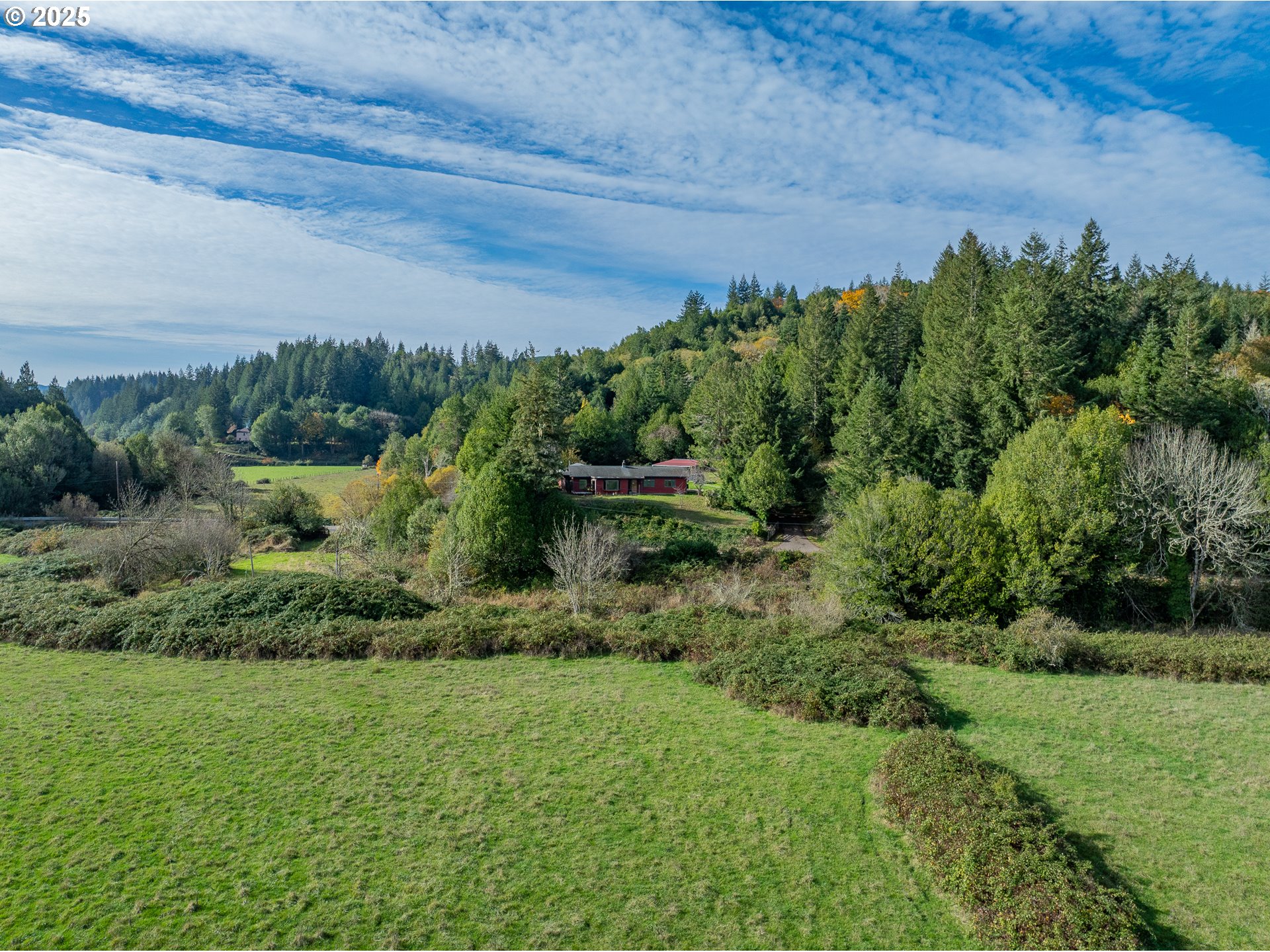 53874 Fishtrap Road Myrtle Point, OR 97458 - Photo 4 of 48 a view of a garden with a building in front of it