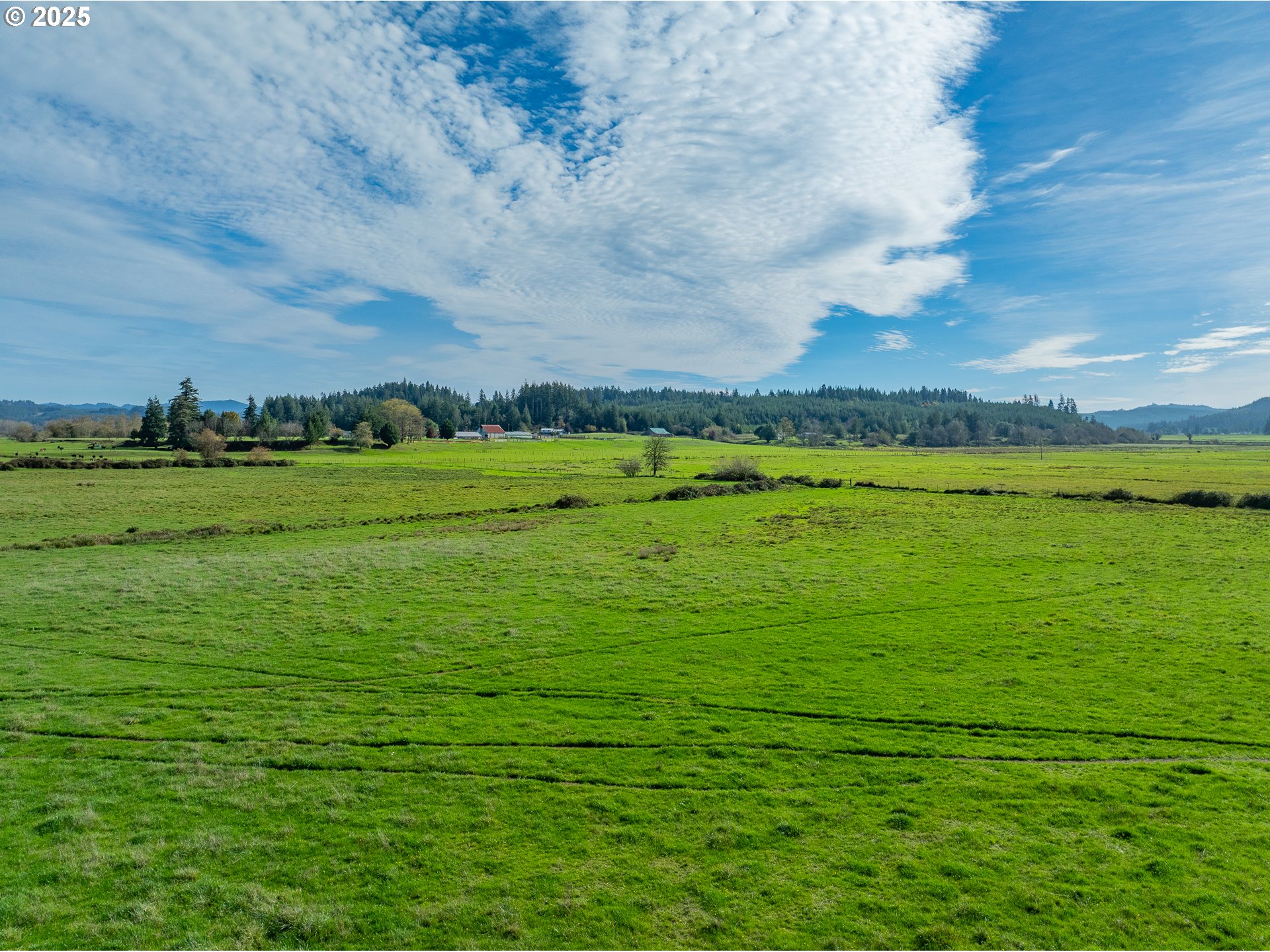 53874 Fishtrap Road Myrtle Point, OR 97458 - Photo 41 of 48 a view of a golf course with a field