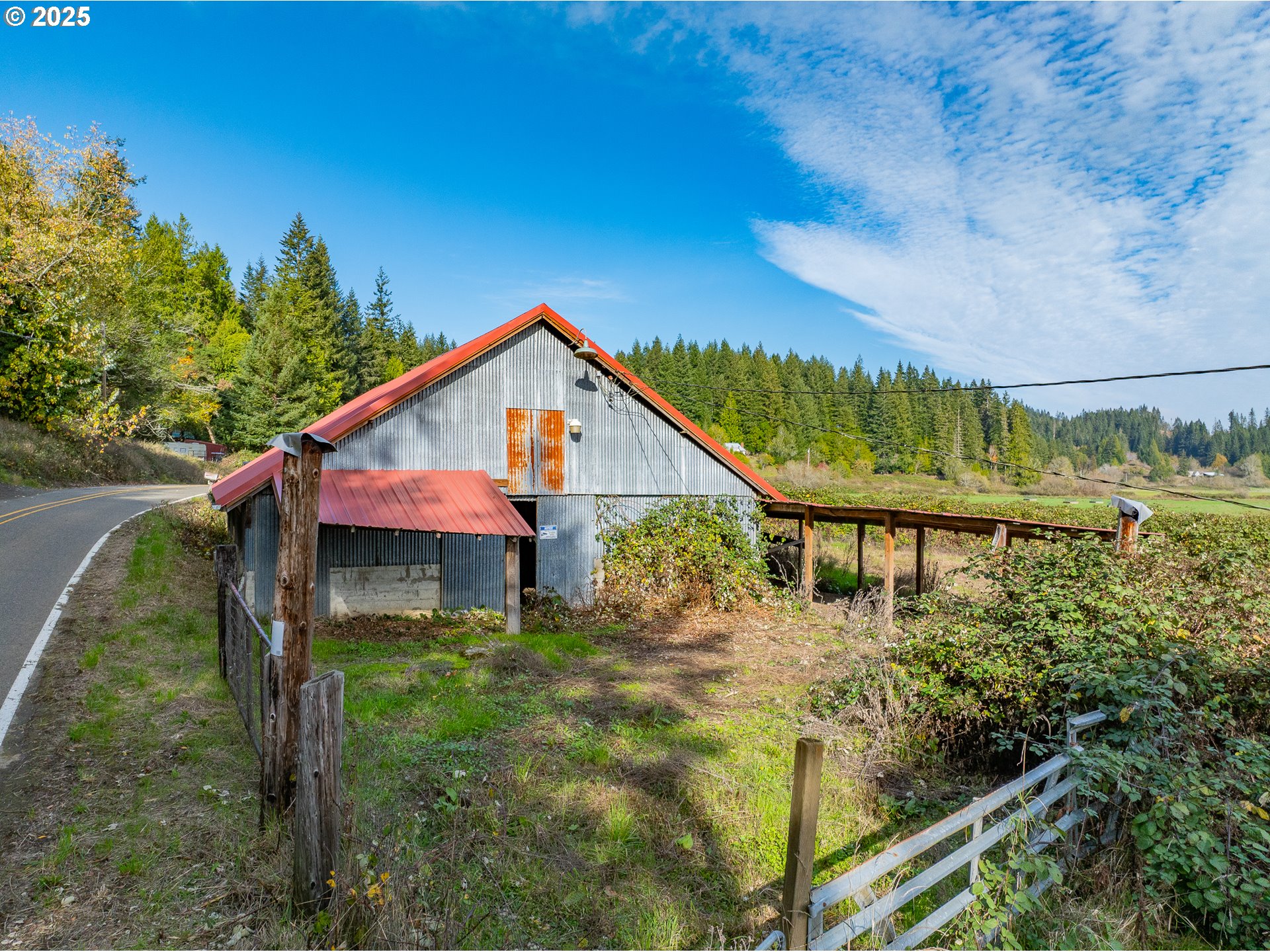 53874 Fishtrap Road Myrtle Point, OR 97458 - Photo 42 of 48 a view of a backyard with plants and large tree