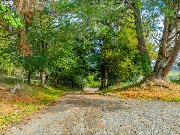 $965,000 | 53874 Fishtrap Road, Myrtle Point, OR 97458