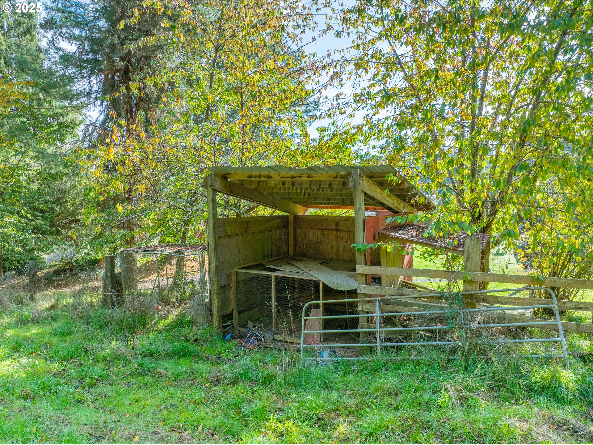53874 Fishtrap Road Myrtle Point, OR 97458 - Photo 7 of 48 a backyard of a house with lots of green space and bench