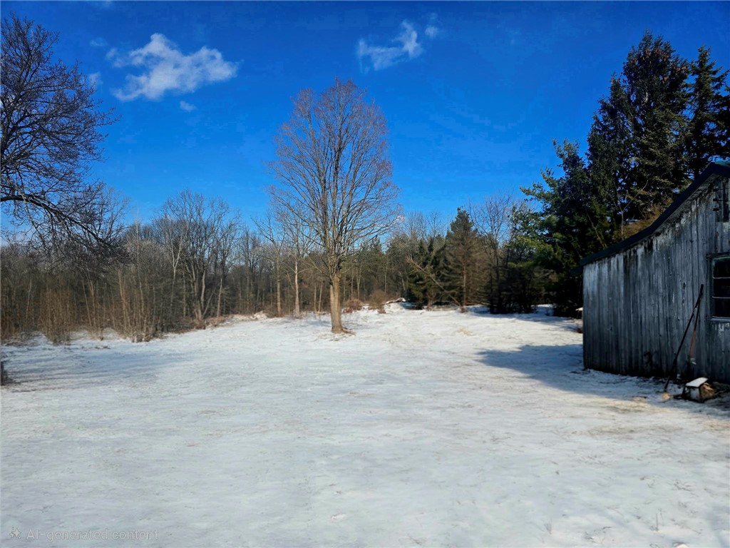 1511 County Road 132 Romulus, NY 14521 - Photo 25 of 25