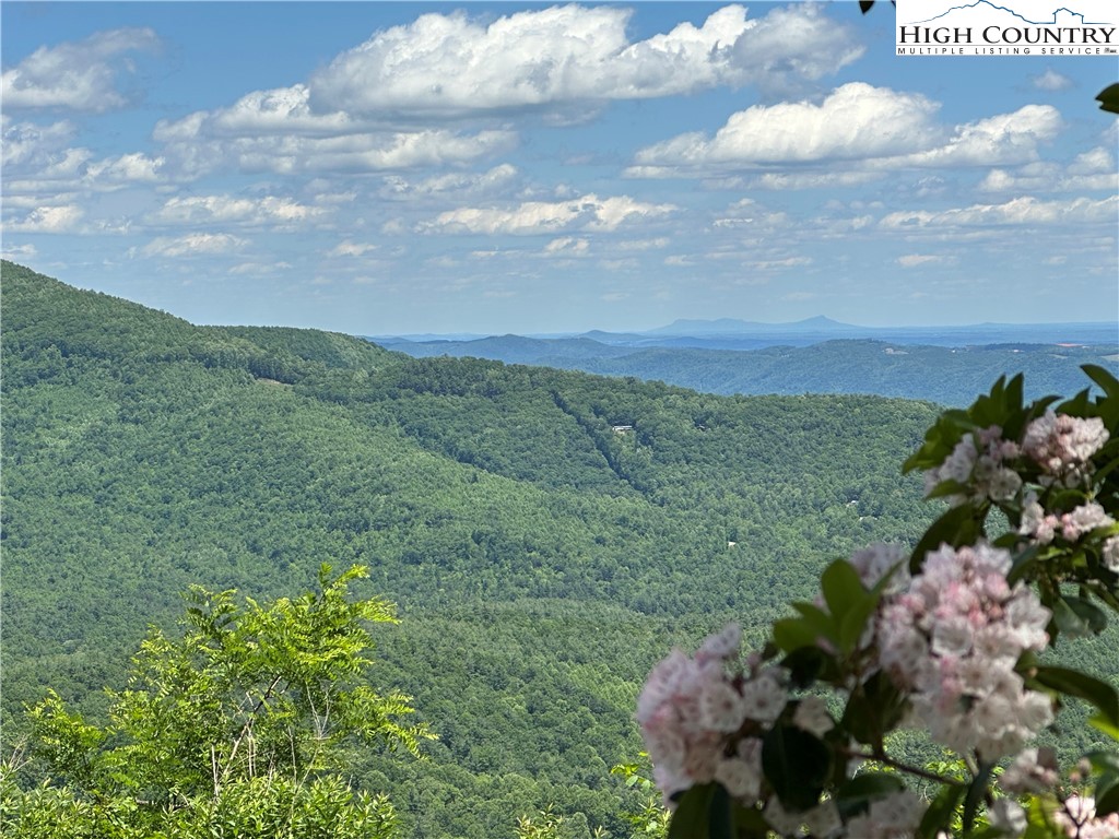 151 Cascade Drive Purlear, NC 28665 - Photo 2 of 46 a view of a bunch of trees and bushes