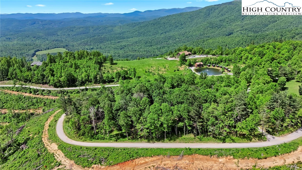 151 Cascade Drive Purlear, NC 28665 - Photo 24 of 46 a view of a garden with a building in the background