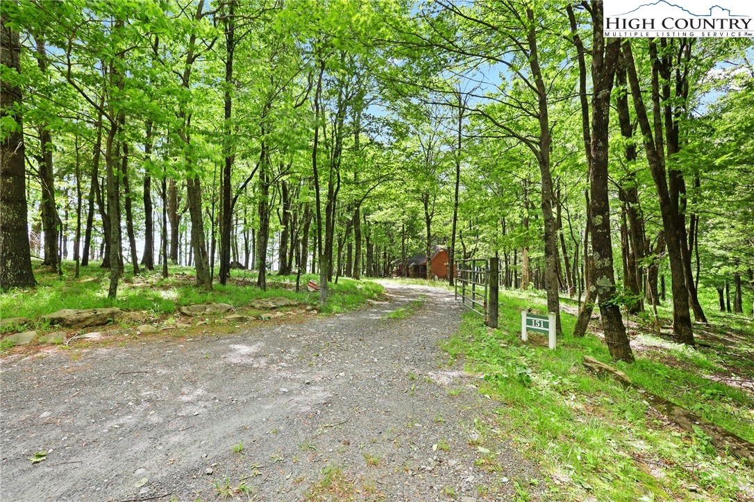 151 Cascade Drive Purlear, NC 28665 - Photo 33 of 46 a childrens park with lots of trees