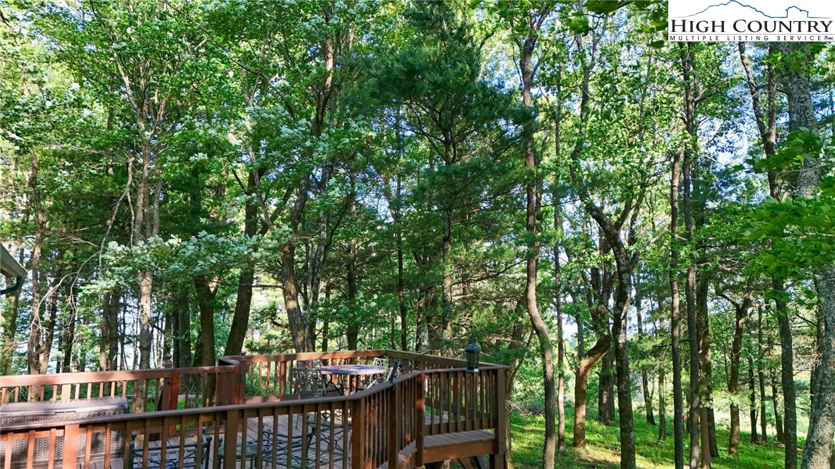 151 Cascade Drive Purlear, NC 28665 - Photo 36 of 46 a view of a chairs and table in a backyard