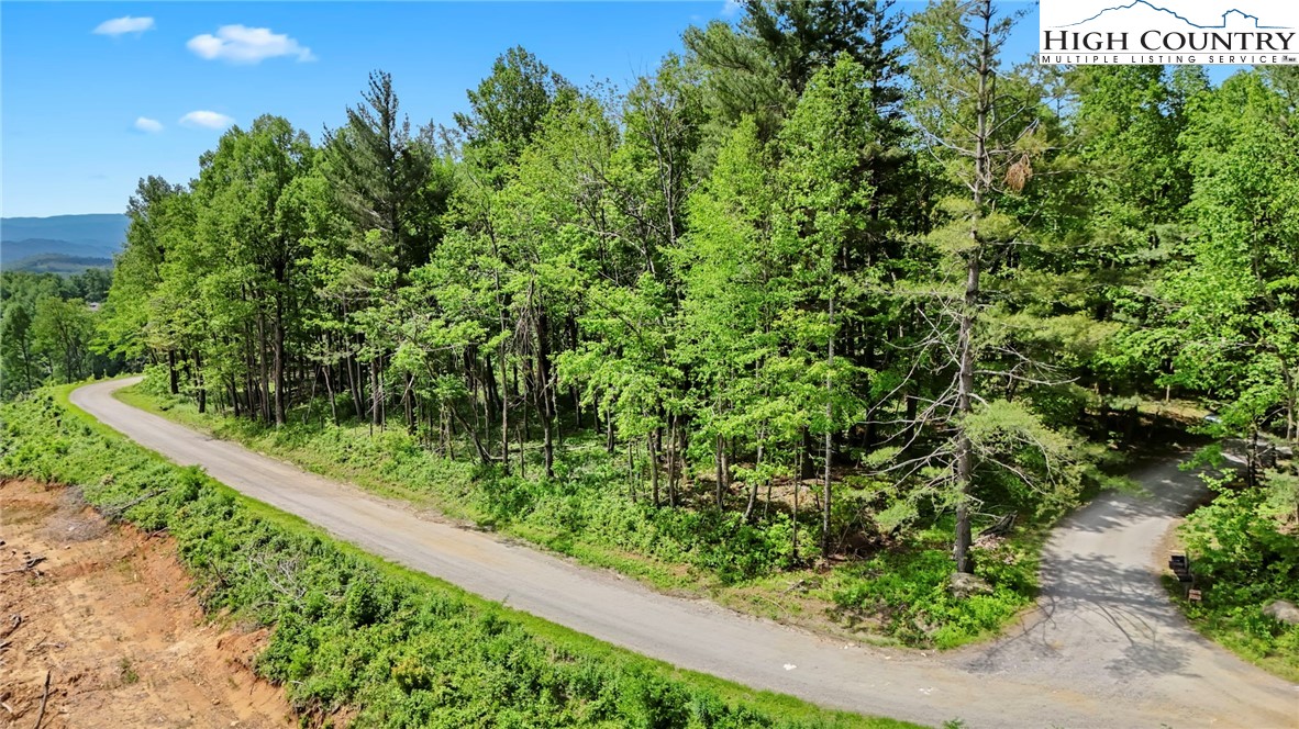 151 Cascade Drive Purlear, NC 28665 - Photo 37 of 46 a view of a garden with a tree