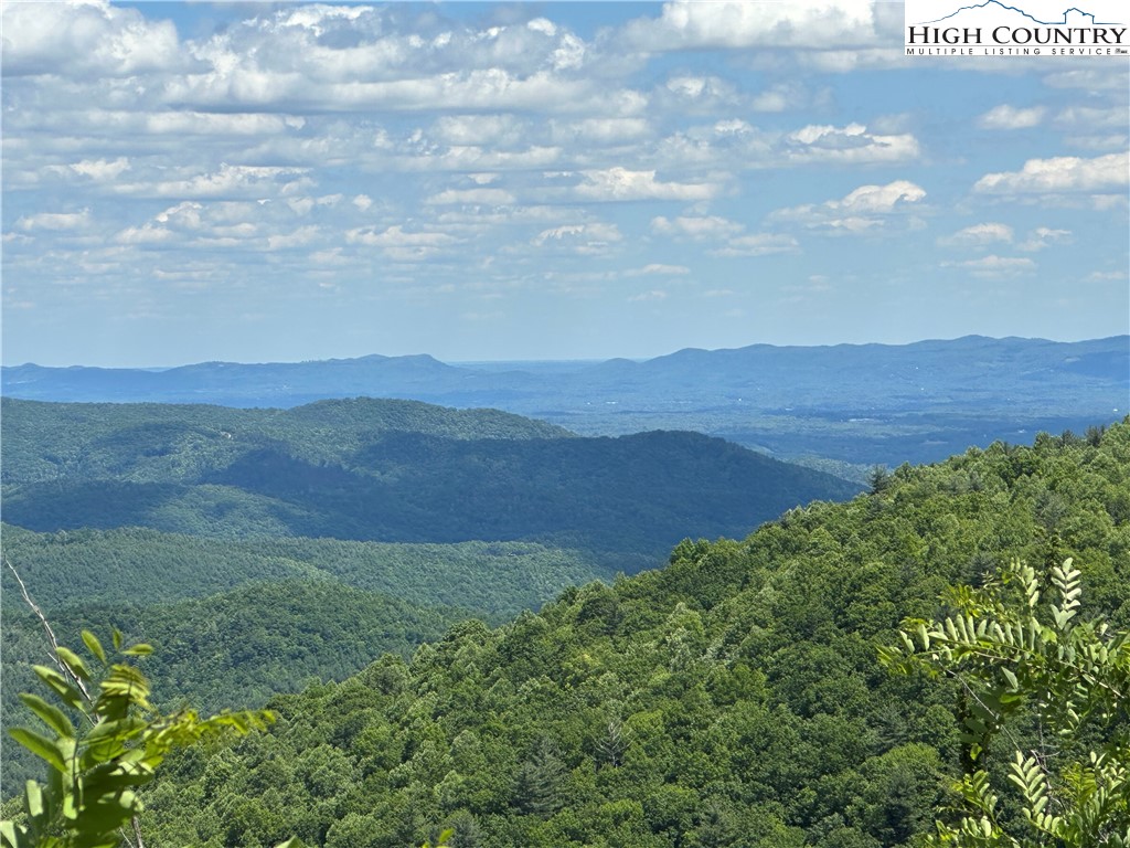 151 Cascade Drive Purlear, NC 28665 - Photo 4 of 46 a view of an outdoor space and mountain view