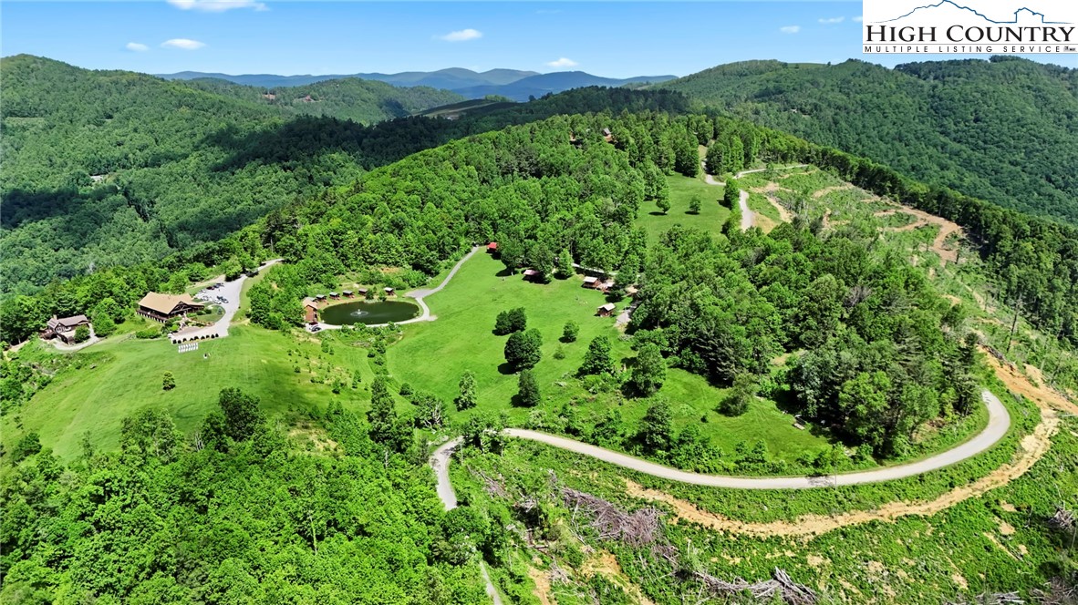 151 Cascade Drive Purlear, NC 28665 - Photo 42 of 46 a view of a lush green forest with a mountain
