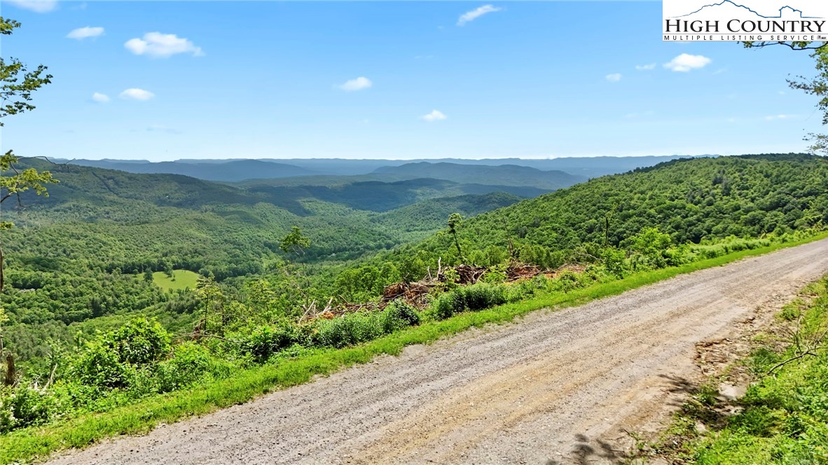 151 Cascade Drive Purlear, NC 28665 - Photo 43 of 46 a view of a green field with mountains in the background