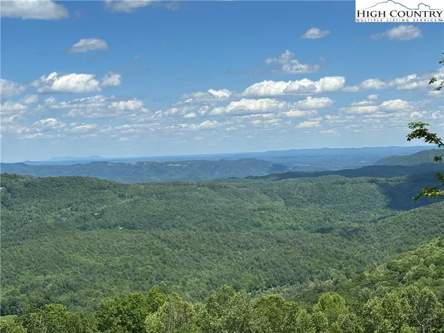 a view of a big yard with lots of green space