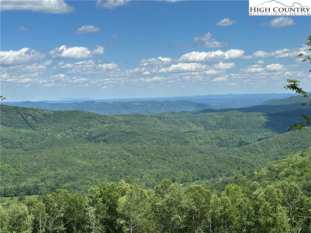 151 Cascade Drive Purlear, NC 28665 - Photo 46 of 46 a view of a big yard with lots of green space