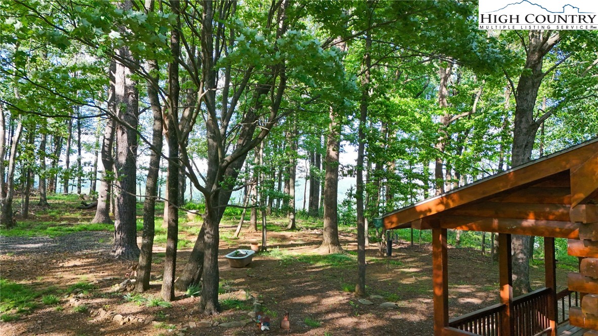 151 Cascade Drive Purlear, NC 28665 - Photo 7 of 46 a backyard of a house with lots of green space