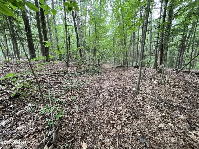 $328,000 | L19.22 Homestead Road, Saratoga Springs, NY 12866