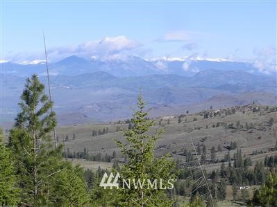 1 Fire Tools Road Tonasket, WA 98855 - Photo 1 of 1 Gallery Image 1