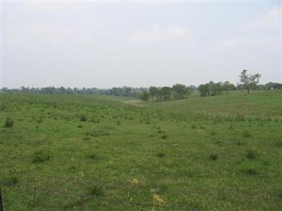 175 Benton Road Mount Sterling, KY 40353 - Photo 3 of 4 Photo 3