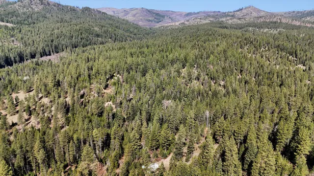 $79,500 | 5324 Olinger Road, Springdale, WA 99173