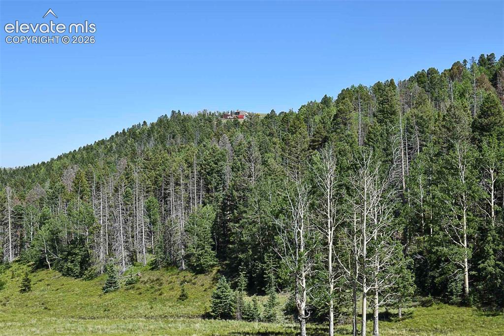 0 Bear Cat Road Guffey, CO 80820 - Photo 19 of 40