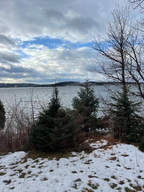 963 Lake Shore Road Madawaska, ME 04773 - Photo 4 of 29 IMG_4492