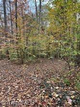 0 Aladdin Road Pfafftown, NC 27040 - Photo 5 of 17