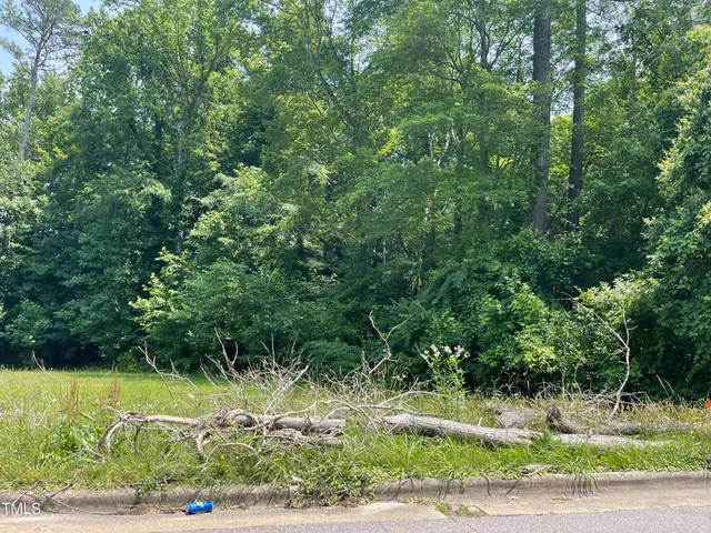 a view of a yard with a house