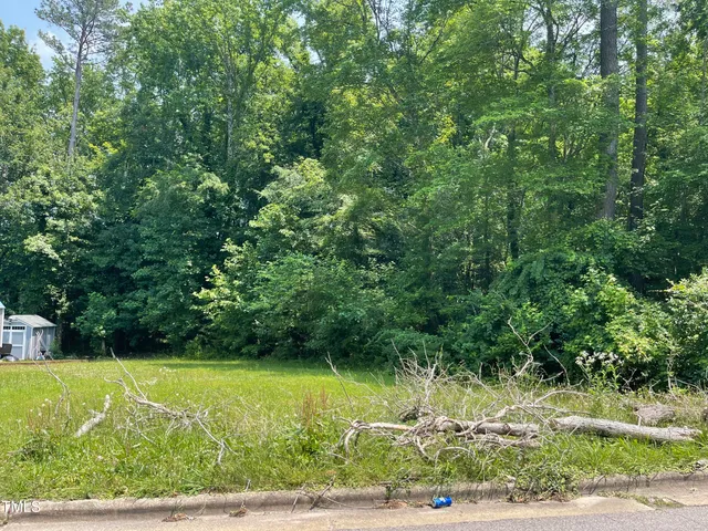 a view of a yard with plants and large trees