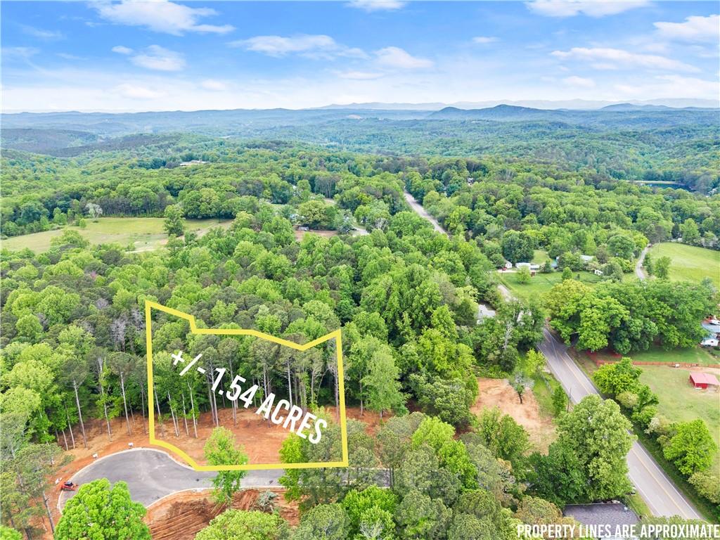 6 Lowe Lane Talking Rock, GA 30175 - Photo 2 of 10 a view of a city with lush green forest