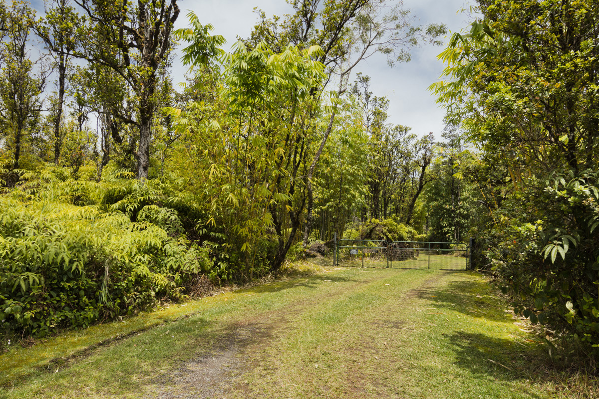 11-2991 Waimaka O Pele Road Mountain View, HI 96771 - Photo 3 of 30
