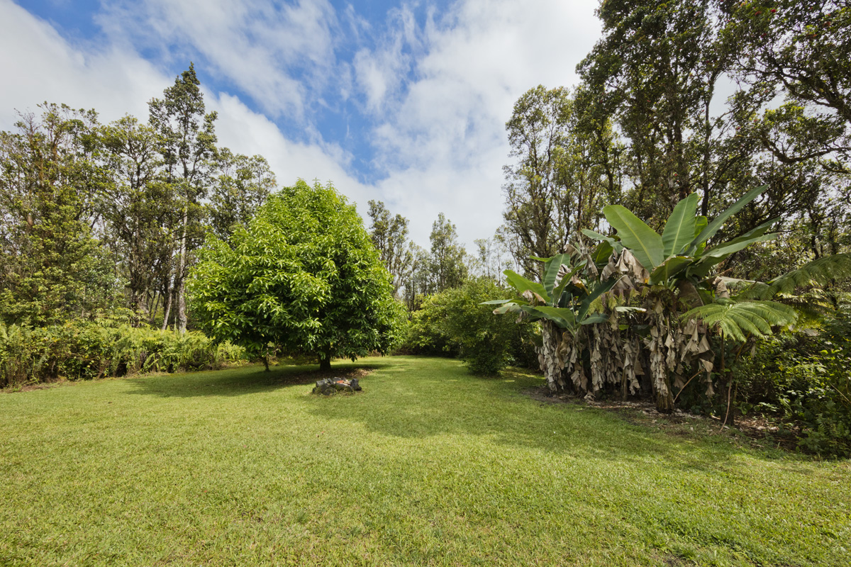 11-2991 Waimaka O Pele Road Mountain View, HI 96771 - Photo 7 of 30