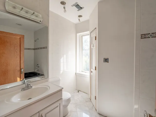 a view of a yard with plants and a trees