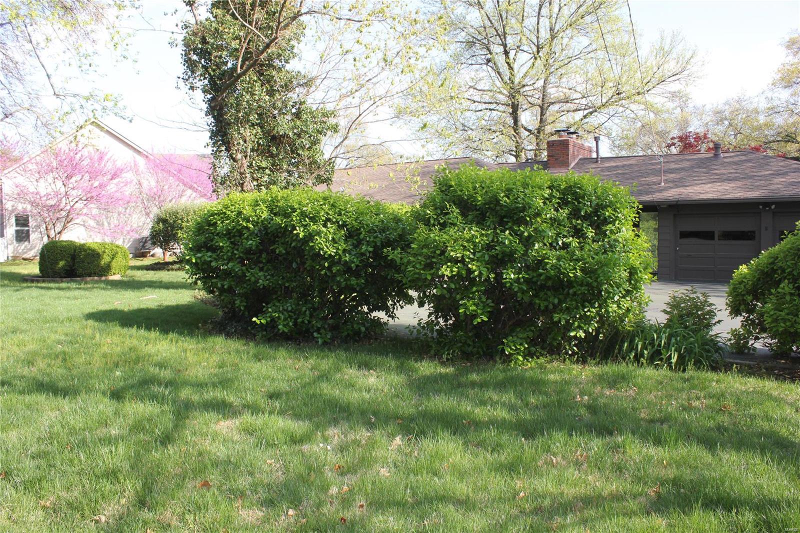 8 St Alfred Road St. Louis, MO 63132 - Photo 5 of 7 Gallery Image 5