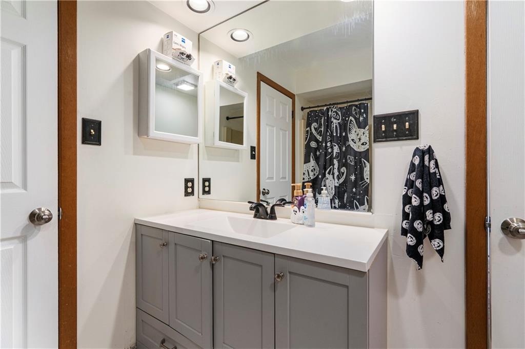 420 Spring Run Drive Monroeville, PA 15146 - Photo 14 of 24 a bathroom with a sink and a mirror