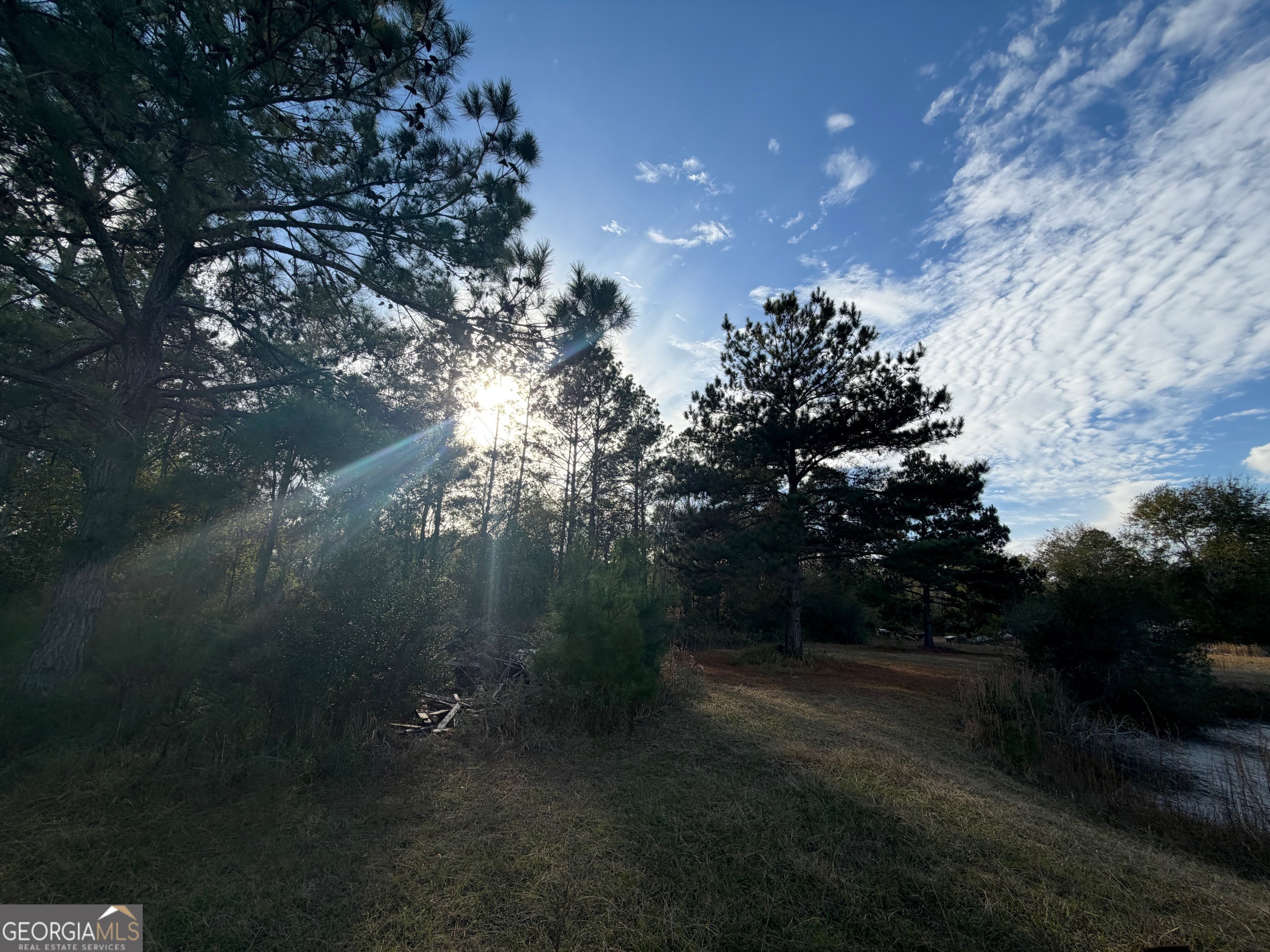 1180 Farm Road St. George, GA 31562 - Photo 6 of 12