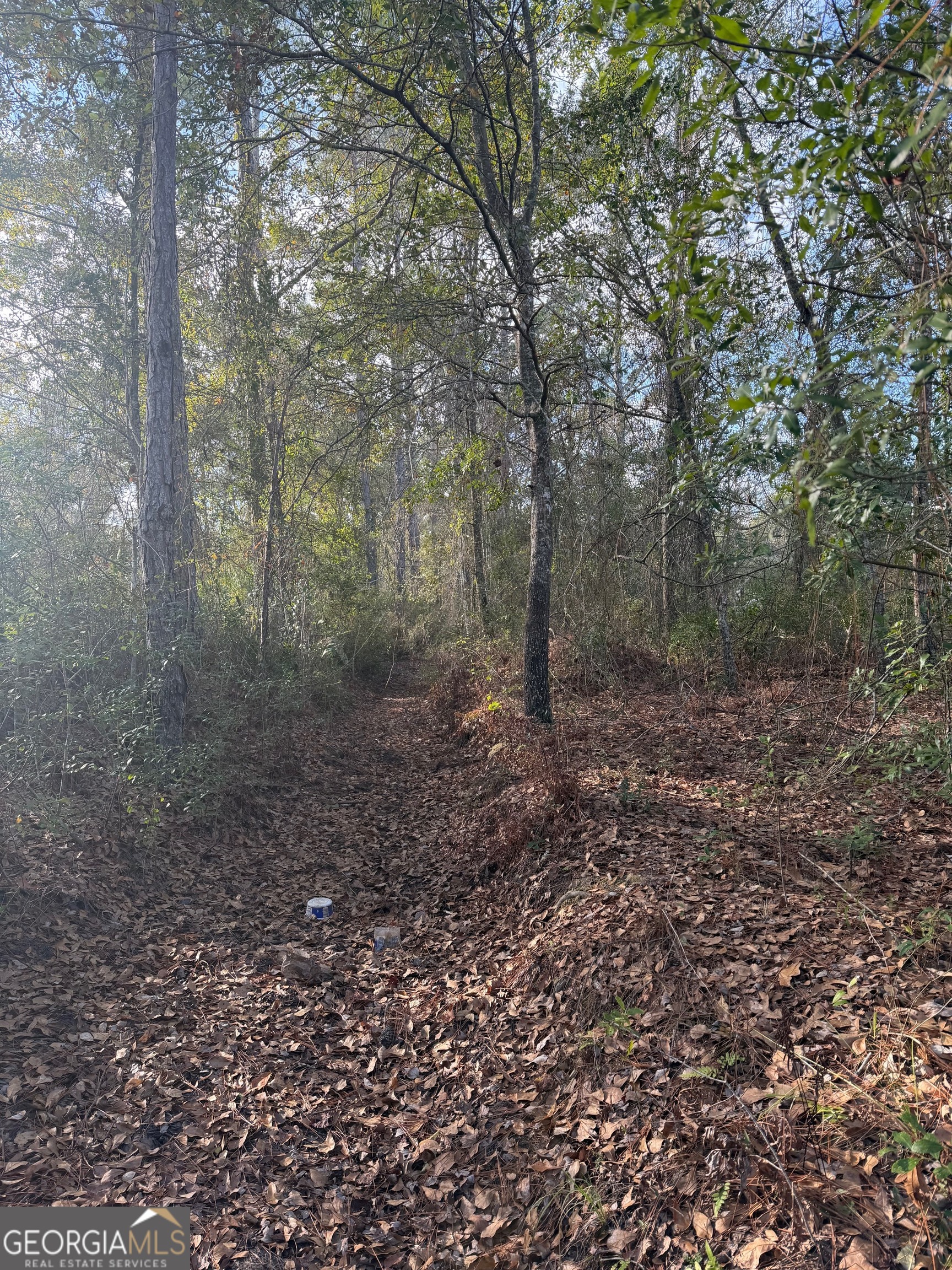 1180 Farm Road St. George, GA 31562 - Photo 7 of 12