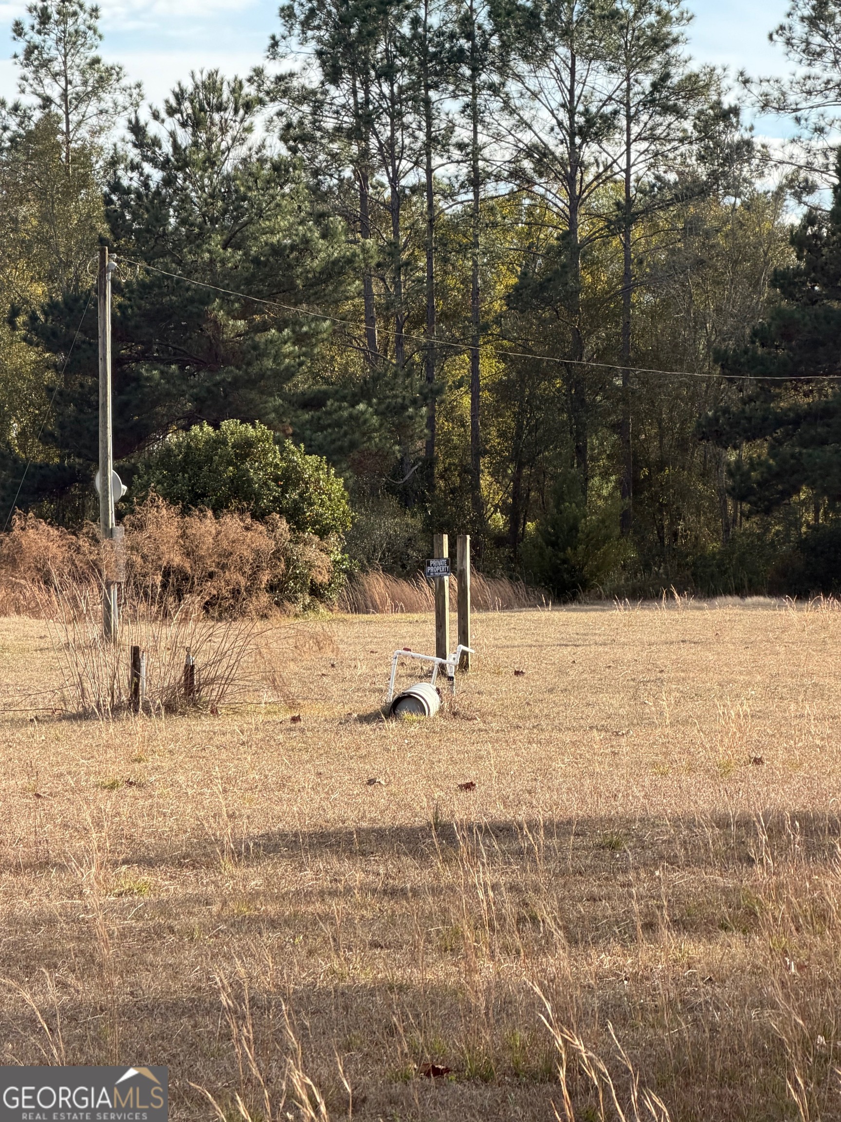 1180 Farm Road St. George, GA 31562 - Photo 9 of 12