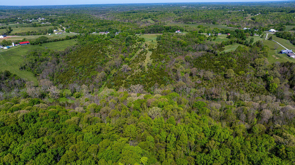 2300 Taft Highway Dry Ridge, KY 41035 - Photo 19 of 31