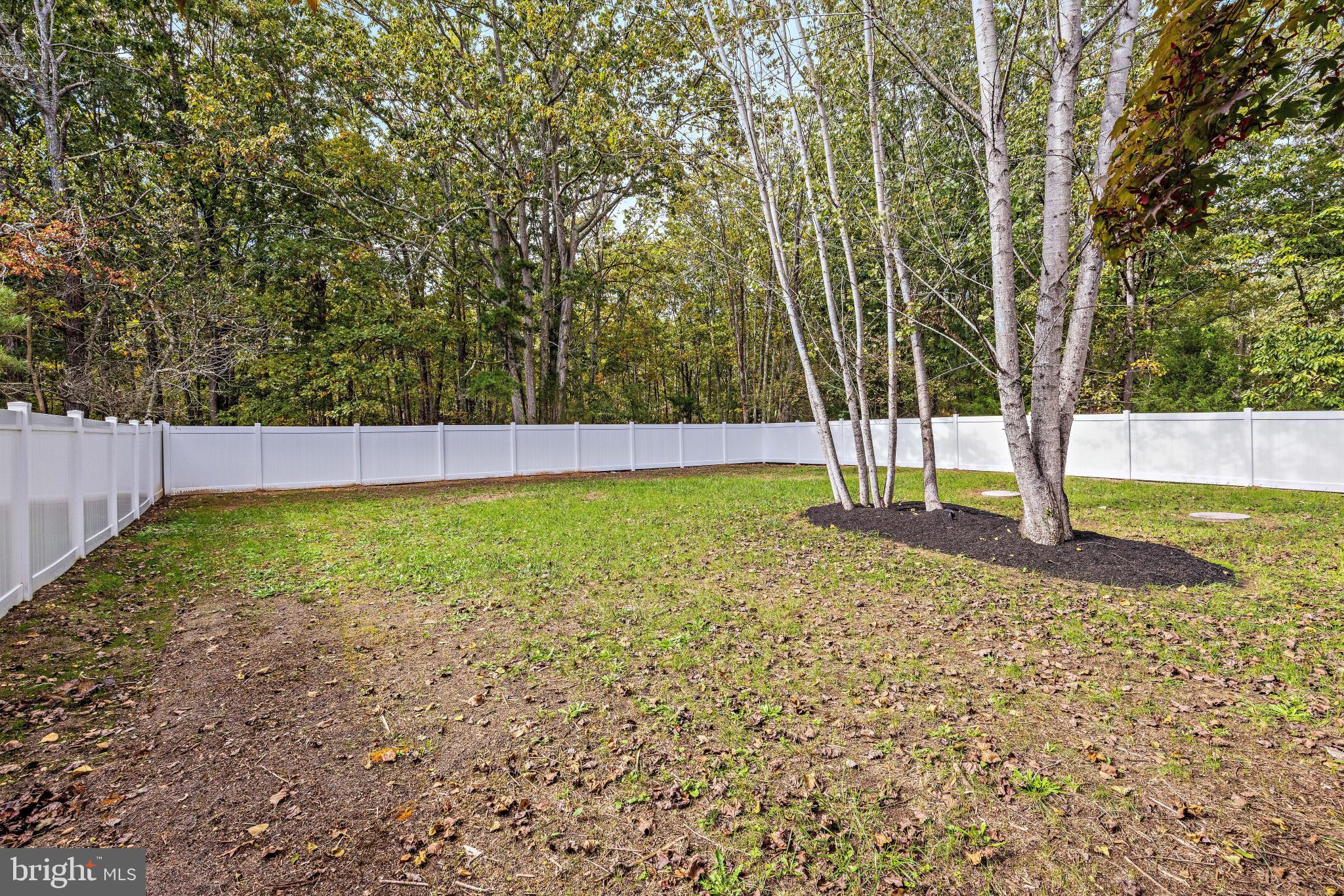 716 6th Road Newtonville, NJ 08346 - Photo 35 of 40 a view of backyard with tree