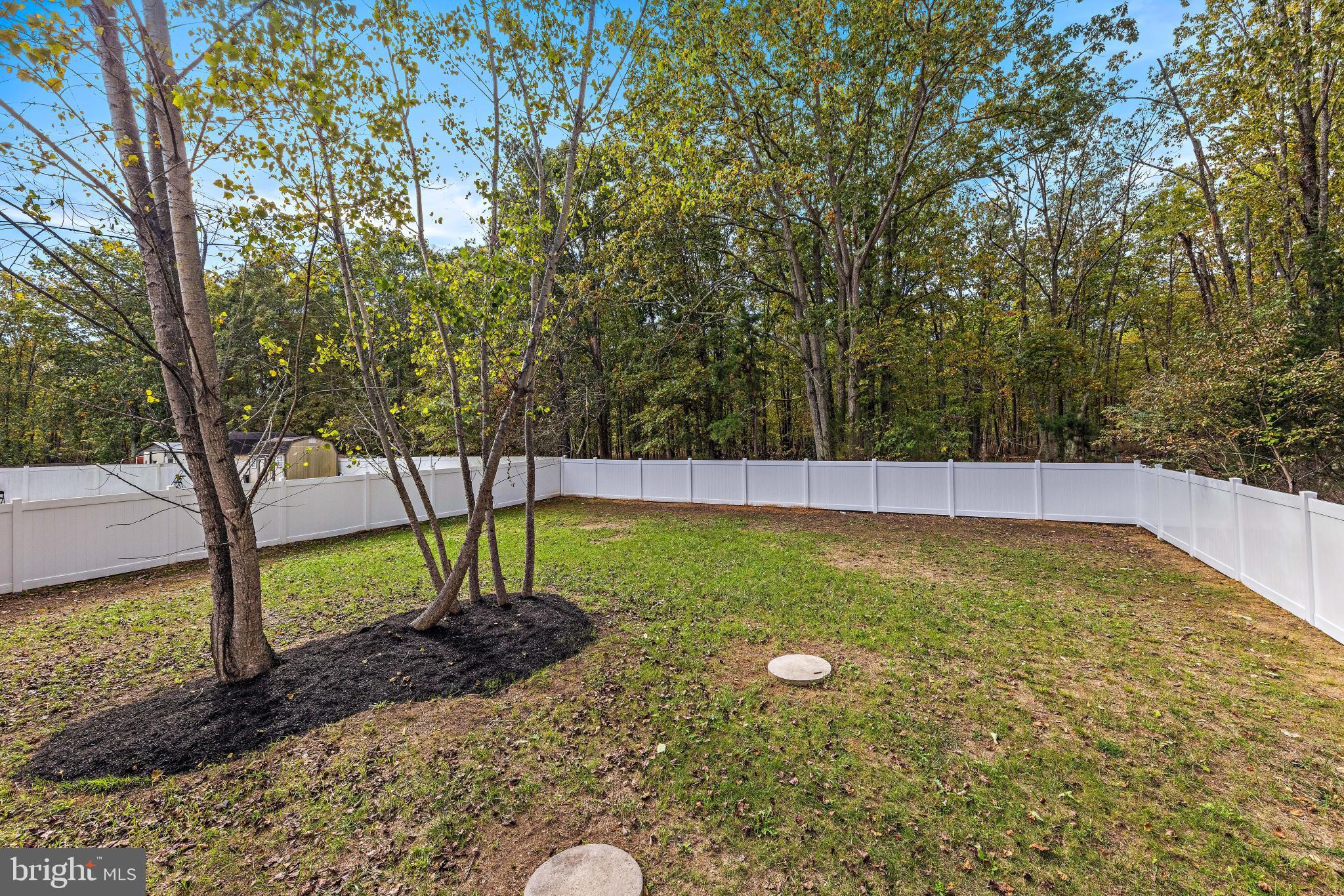 716 6th Road Newtonville, NJ 08346 - Photo 36 of 40 a view of a yard with a tree