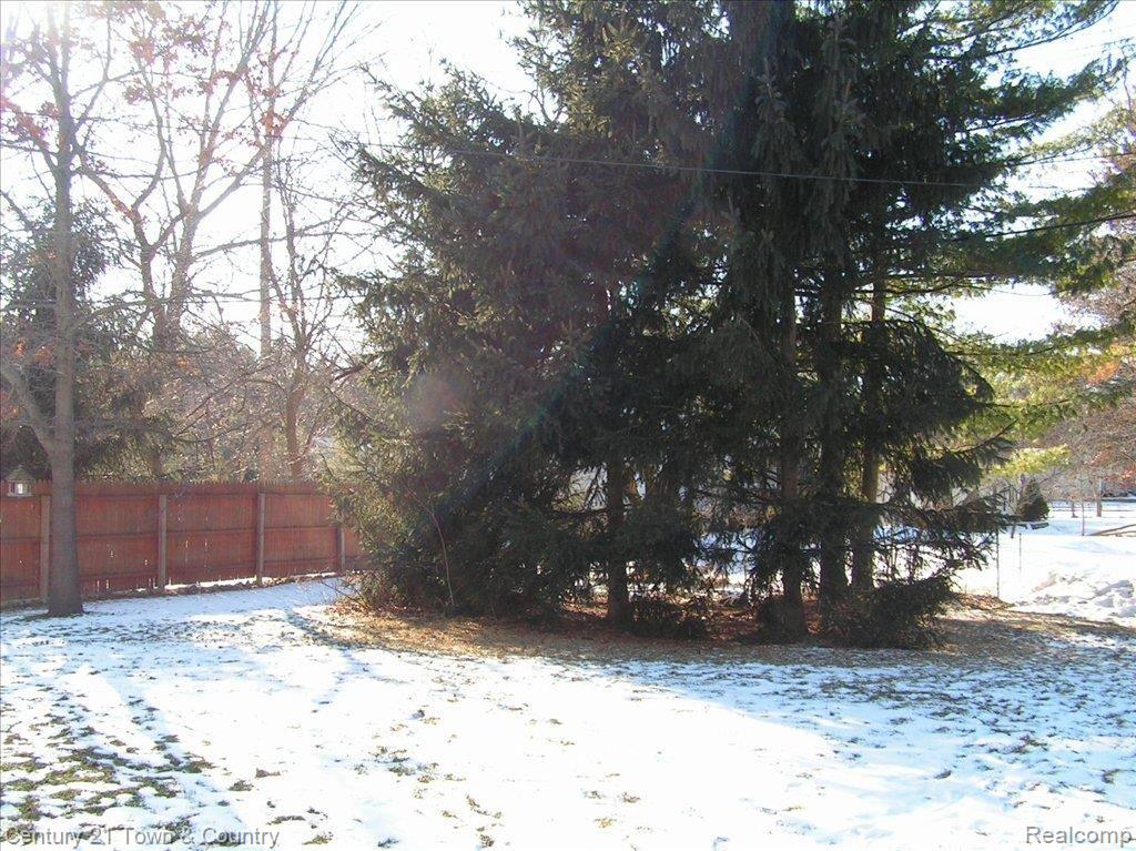 204 South Conklin Road Lake Orion, MI 48362 - Photo 12 of 14 Private Yard