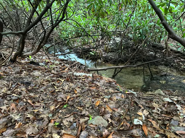 a backyard of a house with a lake view